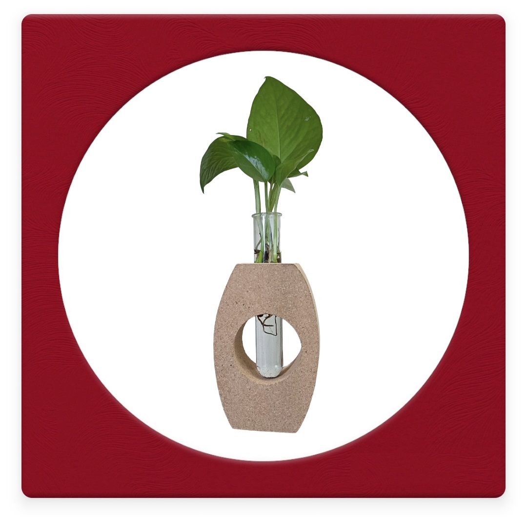 Cork Planter 5